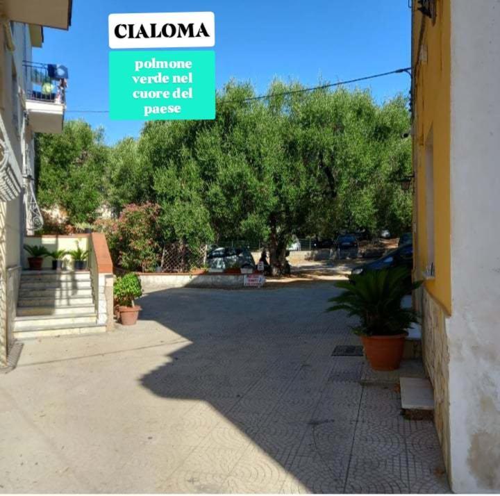 Cialoma Full Green マリーナ・ディ・カメロータ 部屋 写真